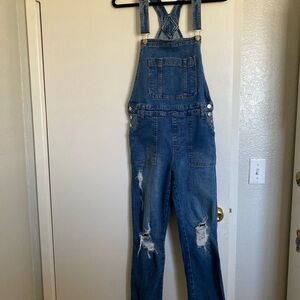 Celebrity Pink Blue Distressed Women Jeans Overalls